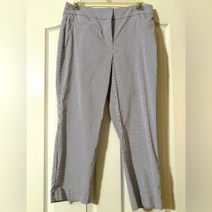 Ann Taylor Factory Navy Seersucker Cropped Pants